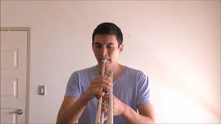 You Are the Sunshine of My Life - Stevie Wonder (Trumpet)