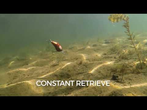 Rapala DT 12 6cm 17g FT S