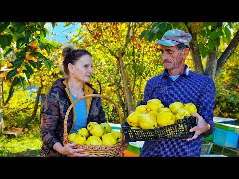 Cooking Quince Dishes in the Mountaines Village of Albania for a Perfectly Delicious Dinner