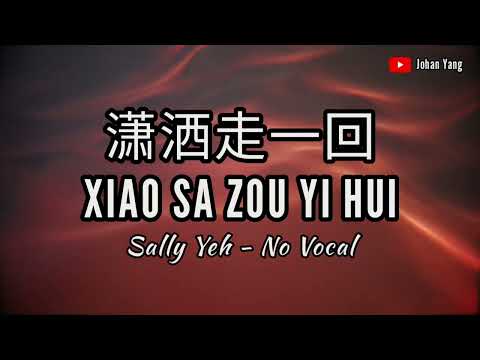 Xiao Sa Zou Yi Hui 潇洒走一回 - Sally Yeh - NO VOCAL