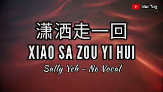 Xiao Sa Zou Yi Hui 潇洒走一回 - Sally Yeh - NO VOCAL