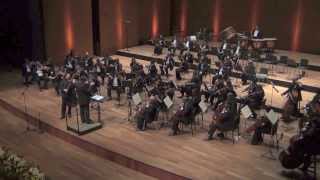 Oscar Bohorquez plays Tchaikovsky violin concerto (Extracts 2013)