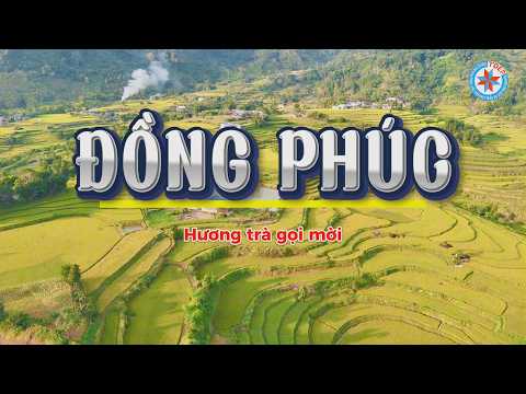 Video nổi bật Festival Trà