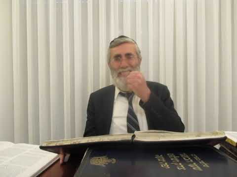 הרב יהושע ביבי - תשפ"ו - שער המצוות - שיעור מס' 008 - מהות בחינה הצל''ם מע''ח שכ''ו פ''א