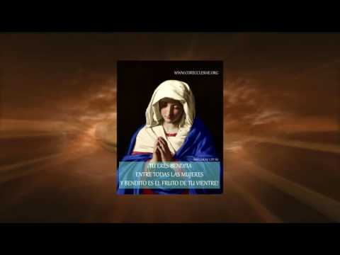 Homilía - 31 de mayo, 2017