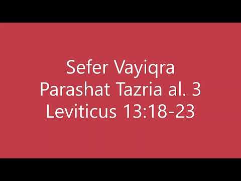 Torah Chanting - Sefer Shemot - Parashat (Portion) Tazria al. 3