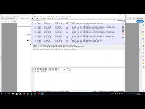 7.3.1.6 Lab - Exploring DNS Traffic