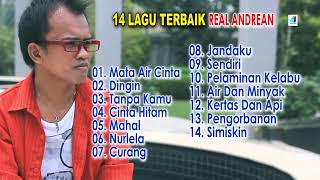 Download lagu 14 Lagu Dangdut - Real Andrean mp3