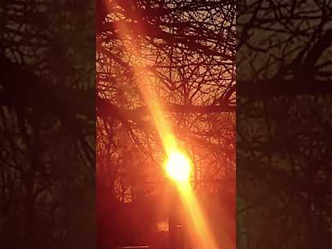 Одновременно месяц и солнце,волшебно.