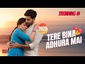 Tere Bina Adhura Mai BEST Romantic Hindi Song 2025 Heart Touching Love Song