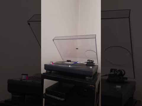 Last Rhythm 'Last Rhythm'.