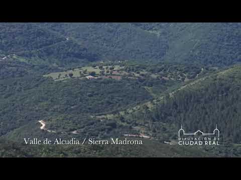 Vallecito de Alcudia   Canci�n irlandesa - ESCUELA DE M�SICA 