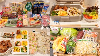 【 食費月一万円 】節約女子の爆買いウエル活🐶 / 週末1時間で作り置き👩‍🍳 / 節約を支える家計簿術📔