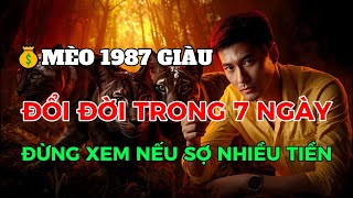 Sim Card Compatible with Men Born in 1987, DINH MAO: GOD OF WEALTH KNOCKS DOOR, GOLD AND SILVER C...