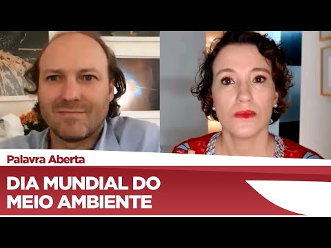Rodrigo Agostinho comenta pautas relativas ao meio ambiente - 04/06/20