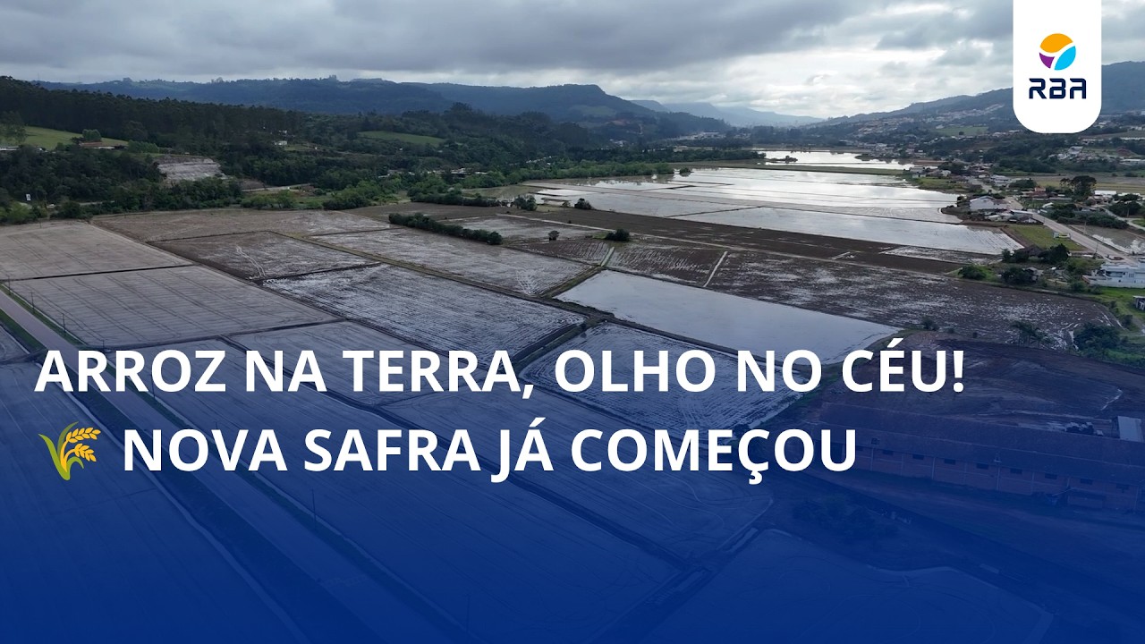 Arroz na terra, olho no céu! Nova safra já começou