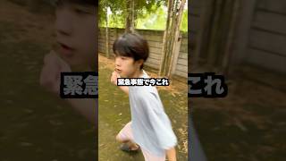 ヤバすぎて今これ…　#日常vlog #vlog #江戸走り