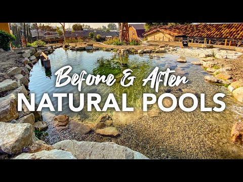 image-What is a natural pool in the ocean?