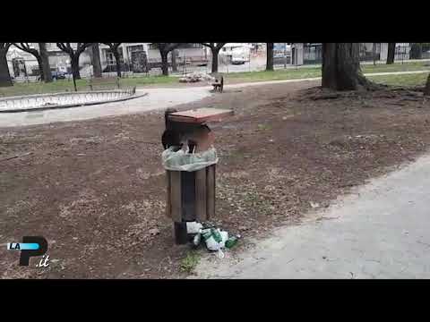 https://img.youtube.com/vi/r4fo_u-oIzQ/0.jpg