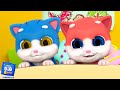 Lima Anak Kucing Kecil Lagu Lebih Lanjut Puisi Prasekolah Untuk Anak