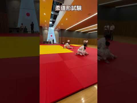 堺地区形審査会　#形 #judokata #judolife #judobasics #柔道 #judoindia #寝技 #judo #柔 #寝技 #関節技 #しめわざ