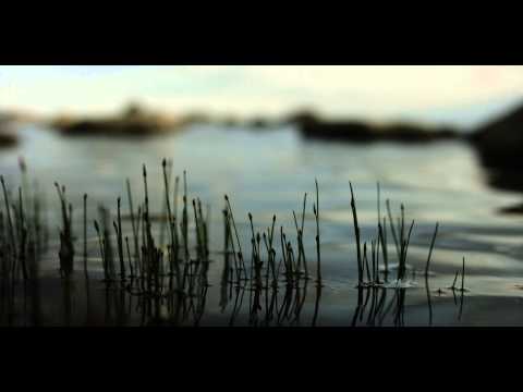 OSOME2SOME FALL/WINTER 2015-16 CAMPAIGN