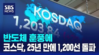 반도체 훈풍에..코스닥, 25년 만에 1,200선 돌파 / SBS