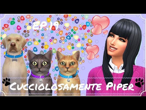 Cucciolosamente Piper: Ep.19 - Gita scolastica: Gli Avventurieri!