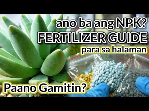 YouTube video about: Can you use succulent fertilizer on other plants?