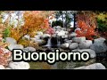 Buongiorno E Buon Sabato