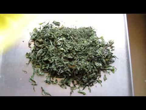 Сушка кипрея и приготовления Копорского чая. Школа травоведа.Природный фиточай Фиточай из диких трав