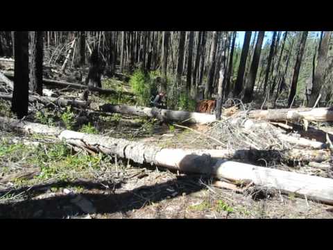 Middle Fork Trail Rogue River