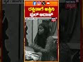 Bigg Boss Kannada 12 Rakshitha ರಕ್ಷಿತಾಗೆ ಆವಾಜ್ ಹಾಕಿದ ಅಶ್