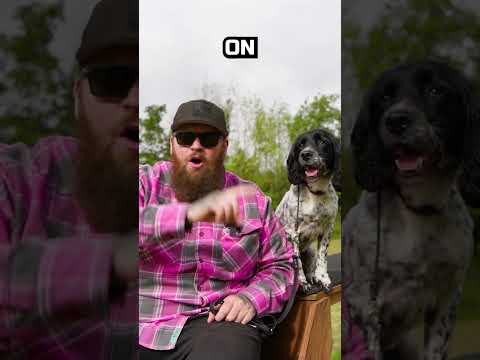 How To Potty Train Your Puppy