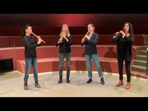 Woodpeckers play Telemann - Concerto a 4 violini concertati TWV 40:201