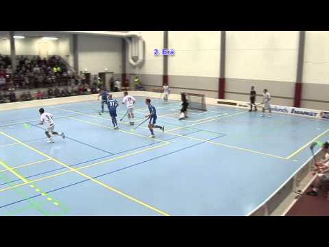 Blue Fox - ÅIF la 15.11.2014