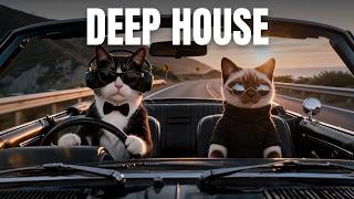 Download lagu Golden Hour Deep House: The Perfect Sunset Drive Mix 🌅 mp3