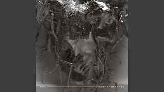 More Than Bones