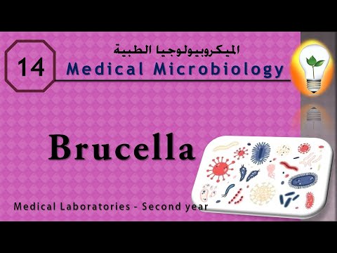 Medical Microbiology 0 introduction نظرة عامة ومقدمة لعلم الميكروبيولوجي
