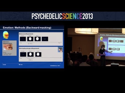 Neuroscience of Psychedelics Workshop - Part 4/4