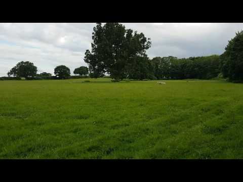 Haunted Battlefields : The Slaughter of Stoke Field