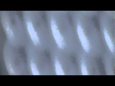 roof branon and son 001