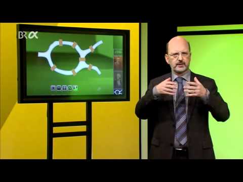 Mathematik zum Anfassen - Was ist dabei eigentlich schön? (2. Staffel, 12. Folge)