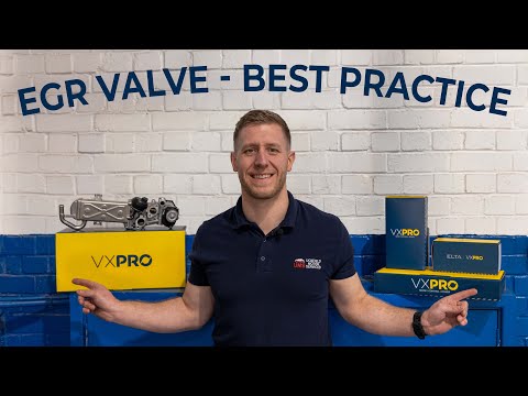 Elta EGR Valve - Best Practice