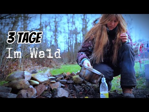 I spent three days alone in the forest. #wilderness #survival #alone #challenge #forest #adventure