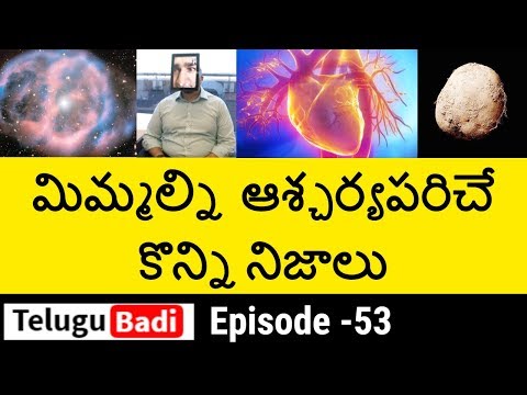 Top 10 Interesting Facts in Telugu You Never Know | Unknown and Amazing Facts | Episode - 53