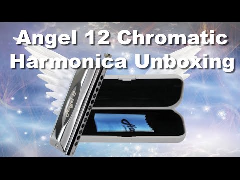 Unboxing the Harmo Angel 12 Chromatic Harmonica