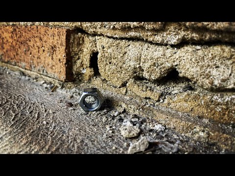 EXTREME Nut Tapping to Sleep Fast