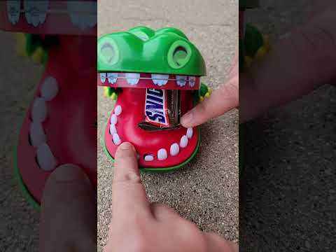 #asmr Chewie eating #sneaker #sneakers #candylover #candies #candy #crocodile #dentist #playtime