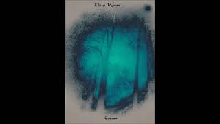Klaus Wiese - Cocoon [full album]